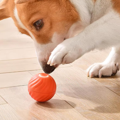 E-Pup Interactive Ball