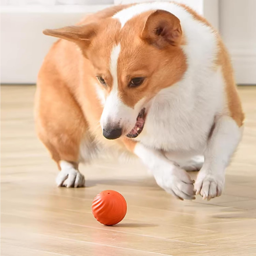 E-Pup Interactive Ball