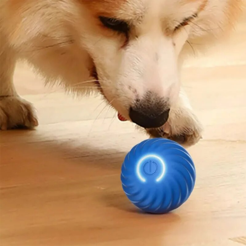 E-Pup Interactive Ball